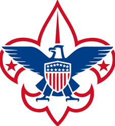 resized scouts2