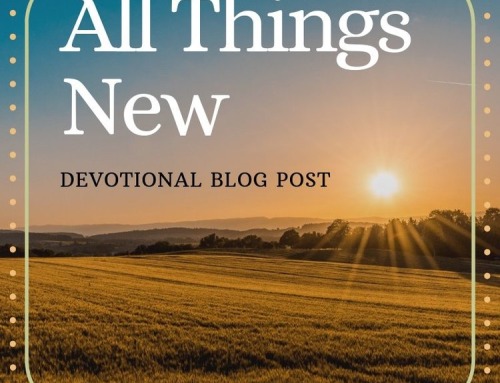 “All Things New”
